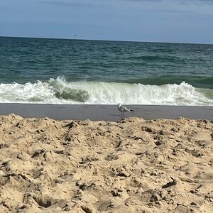 Unlisted Inventory for live shows! 1-50 🎉